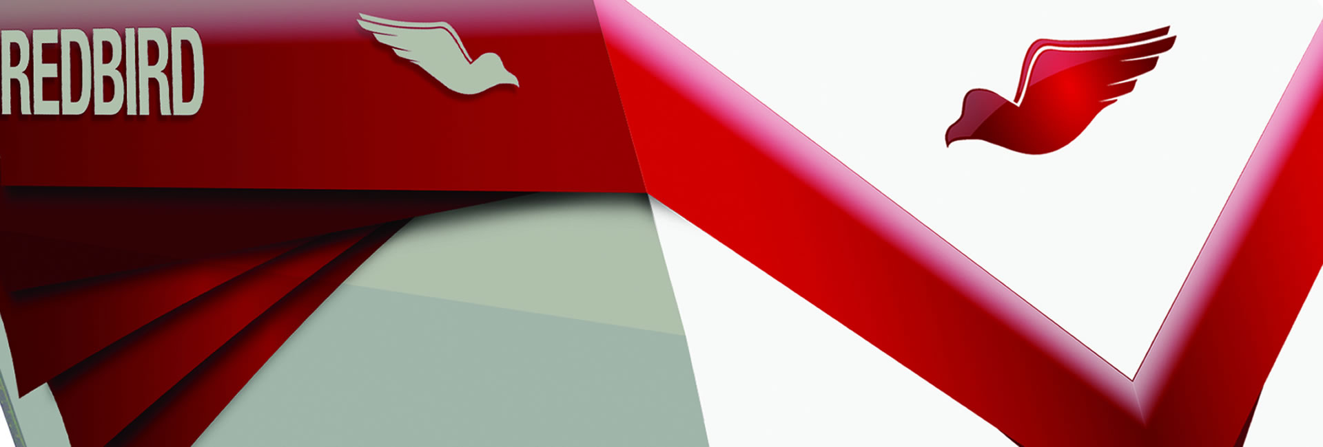 Redbird Flight Simulator Training